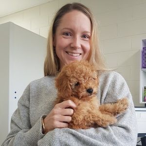 Meet your Posher, Louise